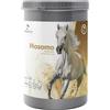 Mosomo ultra pure msm 900 g