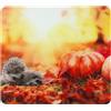 WENKO Multi Lastra Mod. Autunno, tagliere da cucina 3in1, paraspruzzi, copertura per fornelli, tagliere, vetro, 56 x 50 cm