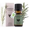 SANICULA Olio Essenziale Rosmarino | 100% Puro e Biologico | Distillato a Vapore | Aromaterapia per Capelli, Diffusore, Concentrazione ed Energia Naturale | Vegan - 10ml