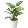 Rieoany Piante Artificiali da 75,6 cm in Vaso per Interni, Piccola Pianta Finta per Bagno, Casa, Ufficio, Scrivania, Cucina, Soggiorno, davanzale, Piante Finte per Interni, Pianta in Vaso in Plastica