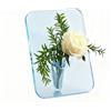 Wagoodter Vaso di acrilico trasparente, piccolo vaso decorativo per tavolo,Ideale per piante idroponiche, decorazioni di tavolo, matrimoni e occasioni speciali (Azzurro)