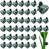 laeeyin 100 pezzi clip per piante orchidee, 1,5 cm, verde scuro, clip per piante, in plastica, per sostenere e tenere le piante