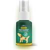 Japan Premium Pet Spray Addestramento Toilette per Cani 100 ml | Aiuto per Cuccioli con Doppia Formula (Ammoniaca + Aroma Vegetale) | Spray Attrattivo per Educazione Rapida, Mirata ed Efficace in Casa e Tappetini