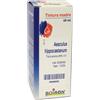 BOIRON BO.AESCULUS HIPP. TM 60ml - BOIRON - 909466082