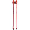FISCHER Bastoni sci Fischer RD SL JR