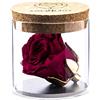 Amoroses Bijou - Rosa Stabilizzata Eterna con calice placcato oro 24K in barattolo di vetro | Idea Regalo (Rosa Rosso Rubino)
