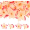 M METERXITY 30-Pezzi Fiori Artificiali Di Plumeria, Finti Petali Di Seta Per Fai Da Te/Decorazioni Per Abiti/Matrimoni/Feste [Champagne+Rosso, 3.9/10cm]