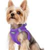rabbitgoo Pettorina Cane Taglia Piccola, Leggero e Morbido, Viola XS | Pettorina per Cani Piccoli, Regolabile, Facile da Indossare, in Rete Traspirante, Strisce Riflettenti, per Passeggiate Corse