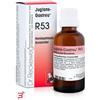 DR.RECKEWEG & CO. GMBH RECKEWEG R53 GOCCE 22ML