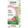 BOIRON SRL ROSA CANINA BOIRON MACERATO GLICERICO 60 ML