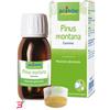 BOIRON SRL PINUS MONTANA BOIRON MACERATO GLICERICO 60 ML