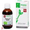 FITOMEDICAL SRL MIRTILLO NERO MACERATO GLICERICO 50 ML BIO