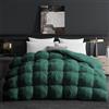 Deodar Piumino in Piuma d'Oca Matrimoniale Invernale, 220X240cm Per 4 Stagioni, Tessuto Puro Cotone Biologico, Lavabile, Approvato Öko-Tex e RDS, 420 gr/m², Verde
