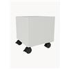 Montana Furniture Scatola portaoggetti Mini Play