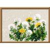 RIOLIS - Dente di leone 807, Punto croce 30x21, Punto croce kit da ricamare, Disegni da ricamare, Embroidery kit, Kit ricamo punto croce