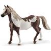 SCHLEICH 13885 Cavallo Paint Horse castrato, da 5 anni, HORSE CLUB - Figura, 4 x 15 x 12 cm