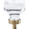 Amerock Glacio 1 - 3/8 in. (35 mm) Diametro trasparente/oro champagne rotondo armadietto manopola, Clear Crystal/Golden Champagne, 1-3/8