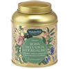 HP ITALIA Srl NEAVITA INFUSO ROSA SELVATICA E FIORDALISO 12 FILTROSCRIGNO IN CADDY INFUSI DI PRIMAVERA 12 FILTRI X 3,5 G