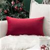 MIULEE Confezione da 1 Federa in Velluto Federde per Cuscini di Copricuscino Decorativo Fodera Quadrata per Cuscino per Divano Camera da Letto Casa 30X50cm Rosso brillante