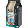 Sheba Delice Du Jour Gourmet Taste of Tokyo 6x50g - Umido Gatti
