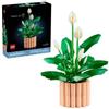 LEGO Botanicals 11504 Spatifillo, Set Costruzioni 474 Pezzi