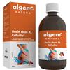 ALGEM NATURA Draingem xl cellulite 500ml