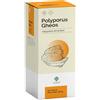 GHEOS Srl polyporus gheos 90 capsule