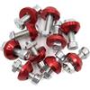 A ABSOPRO Viti per Telaio Portatarga Rosse 10Pz per Moto 6mm Antifurto | Materiale Metallo, Lunghezza Filetto 19mm, Diametro Massimo 17mm, Adatto Per Auto E Camion, Facili Da Applicare.