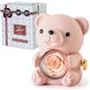 Ariceleo Champagne Orsetto Romantico con Rosa Preservata, Vera Rosa nel Peluche, Elegante Scatola Regalo, Collana a Forma di Cuore, Regalo Perfetto per San Valentino Festa della Mamma Matrimoni