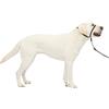 PetSafe - Collare a cavezza Easy Walk per cani di taglia grande (L), comoda, anti-trazione, con guinzaglio in nylon (incluso) - Nero