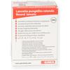 GIMA SpA Lancette Pungidito Sterili G28 100 Pezzi