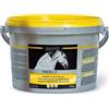 EQUALITY Srl Equistro Excell E Powder 3kg