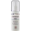 GERMO SpA GERMOXID SPRAY DISINFETTANTE