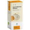 GHEOS SRL Ganoderma Gheos 90 Capsule Da 540 Mg