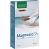 NATURA SERVICE Srl Magnesio B6 - 20 ampolle da 15 ml