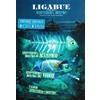 Luciano Ligabue - Arrivederci, Mostro! In Acustico (2 CD + DVD, Deluxe Ed. 2010)