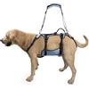 Coodeo Imbracatura per Cani, Supporto Completo e Fodera di Recupero, Regolabile con Cinghie Traspiranti per Cani Anziani, Disabili, con Artrite e Paralisi, aiuto per Camminare (Blu, M)