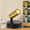 Kambo Faro a LED Senza Fili Ricaricabile 3000mAh, Lampade da Lettura 3 Temperatura di Colore, Illuminazione Installazione Magnetica per le Piante, Decorazione, Arte, Lettura, 1pz Nero e oro