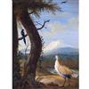 Fine Art Prints Agricola Bustard Gazza esotico paesaggio dipinto vintage extra large stampa artistica poster Premium XL