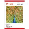 Colour Direct 100 fogli A4 Glossy 230gsm Carta Fotografica Foto Paper Lavorare Per tutto getto d'inchiostro Stampante