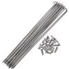 Partuto Set di 20 Raggi per Bicicletta 13G, Raggi per Ruota Bici in Acciaio Inossidabile 304, tonalità Argento 185mm