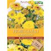 Generico Semi Miscuglio di Fiori Gialli, Fioritura Abbondante, Mazzi di Fiore Gialli yellow flower seeds