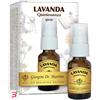 DR.GIORGINI SER-VIS SRL LAVANDA QUINTESSENZA SPRAY 15 ML