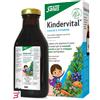 SALUS HAUS GMBH & CO KG KINDERVITAL 250 ML