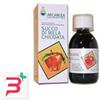 ARCANGEA SRL SUCCO MELA CHIODATA 200 ML
