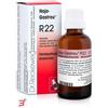 DR.RECKEWEG & CO. GMBH RECKEWEG R22 GOCCE 22ML