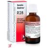 DR.RECKEWEG & CO. GMBH RECKEWEG R28 GOCCE 22ML