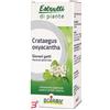 BOIRON SRL CRATAEGUS BOIRON MACERATO GLICERICO 60 ML