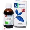 FITOMEDICAL SRL VERBENA TINTURA MADRE 50 ML BIO