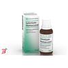 BIOLOGISCHE HEILM. HEEL GMBH SELENIUM HOMACCORD*orale gtt 1 flacone da 30 ml